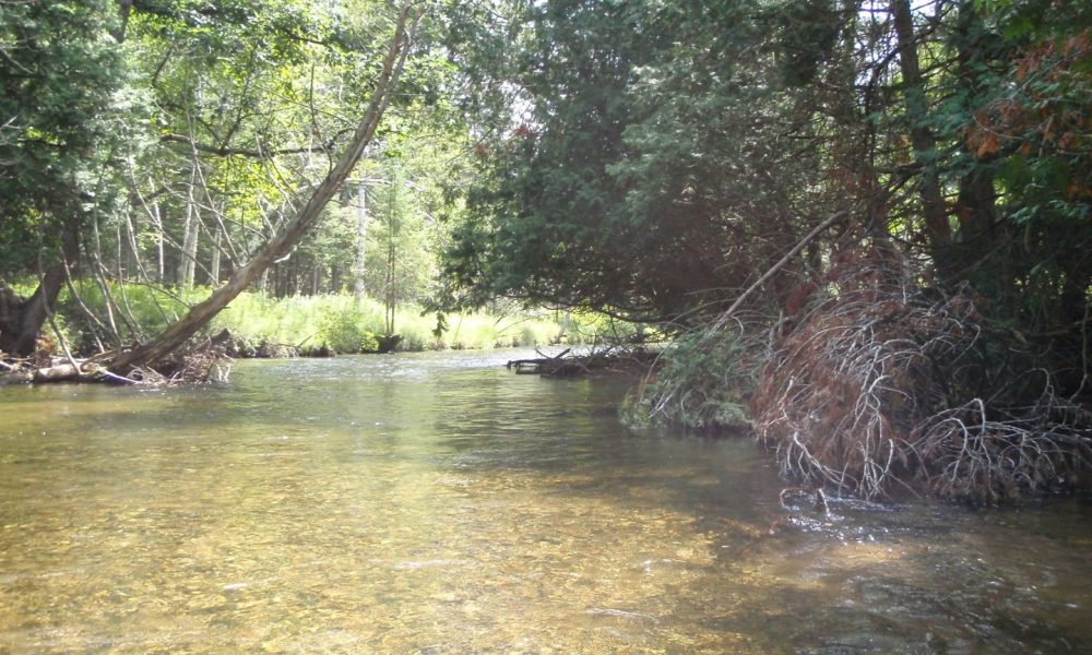 Crystal River in Glen Arbor - Leelanau Peninsula Visitors Guide