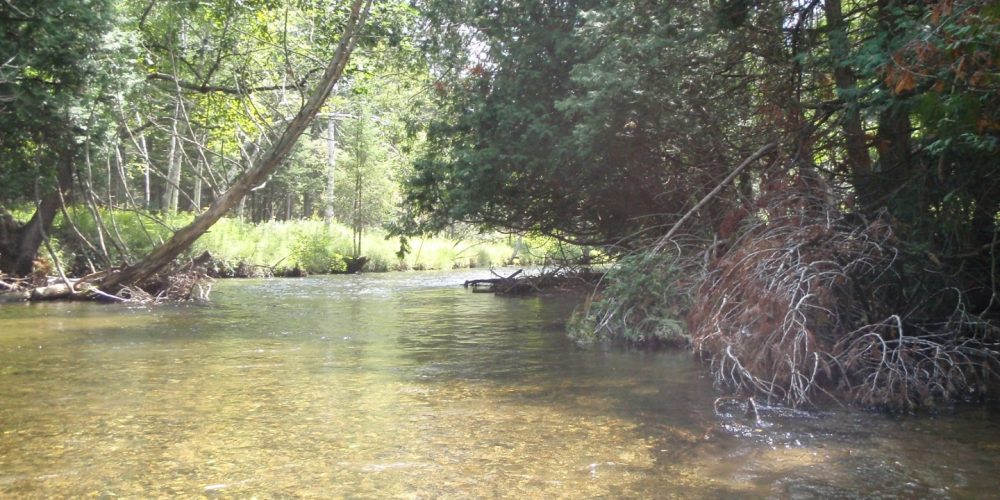 Things to Do in Leelanau County This Summer